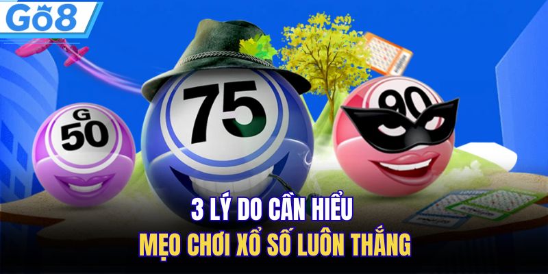 Mẹo Chơi Xổ Số Luôn Thắng Mà Bạn Nên Biết Tại GO8 1 3 lý do cần hiểu mẹo chơi xổ số luôn thắng